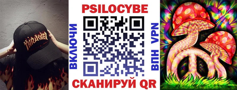 shop состав  Балей  Псилоцибиновые грибы Cubensis 
